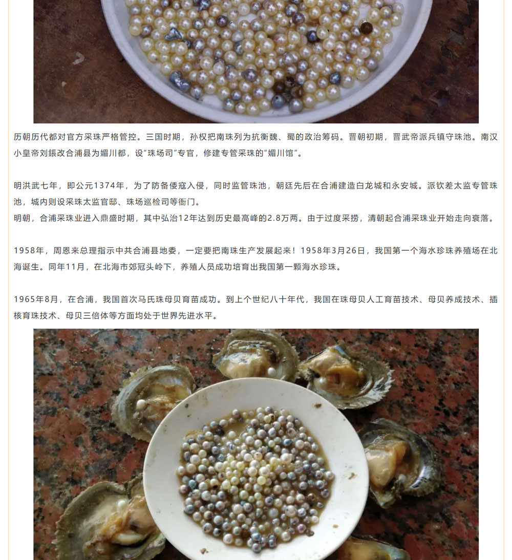 古老南珠，綻放異彩