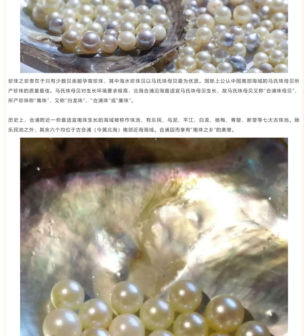 古老南珠，綻放異彩