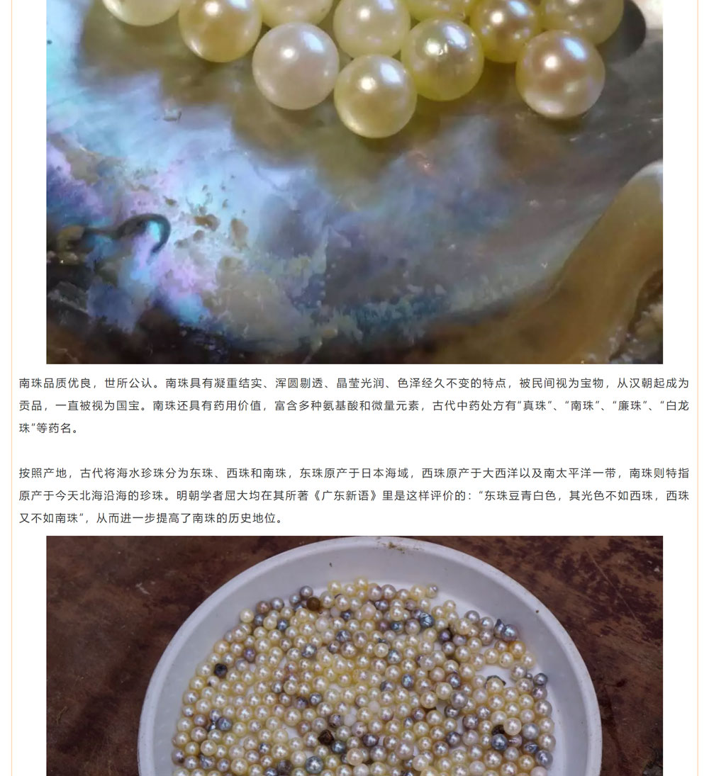 古老南珠，綻放異彩