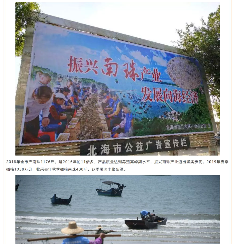 古老南珠，綻放異彩