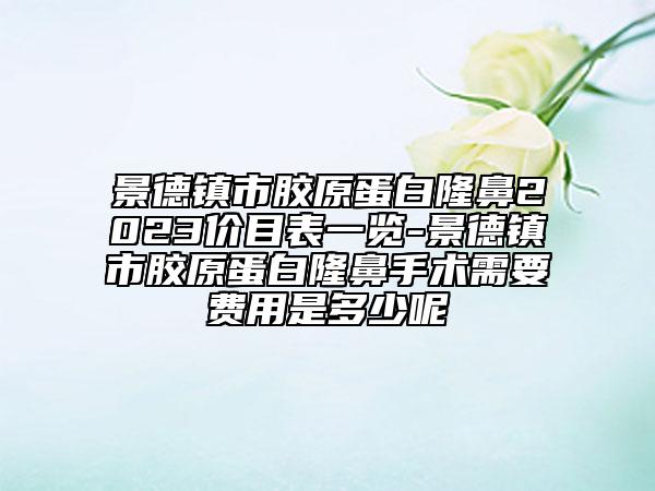 景德鎮(zhèn)市膠原蛋白隆鼻2023價目表一覽-景德鎮(zhèn)市膠原蛋白隆鼻手術(shù)需要費(fèi)用是多少呢