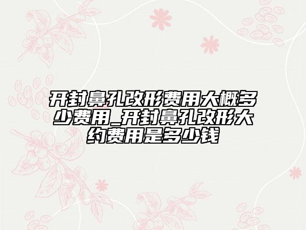 開封鼻孔改形費用大概多少費用_開封鼻孔改形大約費用是多少錢