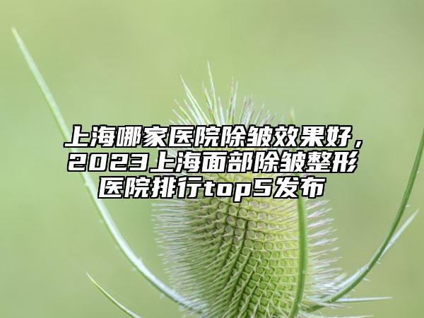 上海哪家醫(yī)院除皺效果好，2023上海面部除皺整形醫(yī)院排行top5發(fā)布