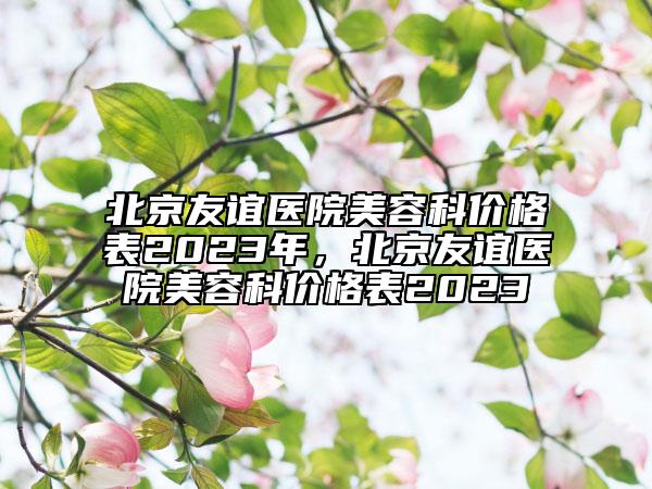 北京友誼醫(yī)院美容科價(jià)格表2023年，北京友誼醫(yī)院美容科價(jià)格表2023
