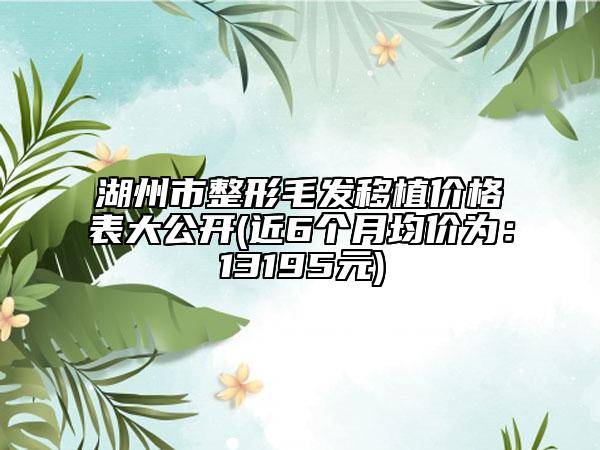 湖州市整形毛發(fā)移植價格表大公開(近6個月均價為：13195元)