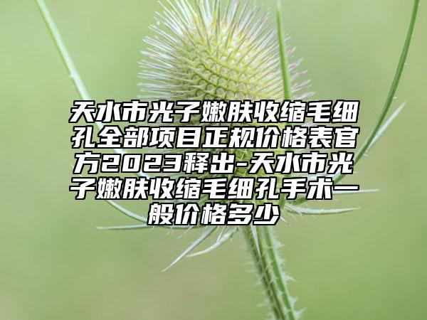 天水市光子嫩膚收縮毛細(xì)孔全部項(xiàng)目正規(guī)價(jià)格表官方2023釋出-天水市光子嫩膚收縮毛細(xì)孔手術(shù)一般價(jià)格多少