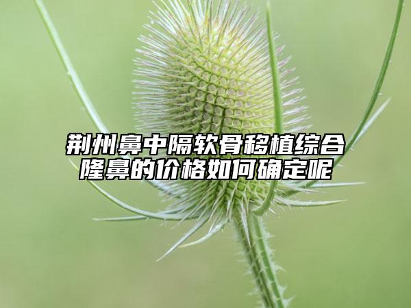 荊州鼻中隔軟骨移植綜合隆鼻的價(jià)格如何確定呢