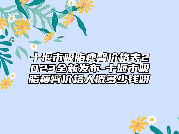 十堰市吸脂瘦臀價格表2023全新發(fā)布-十堰市吸脂瘦臀價格大概多少錢呀