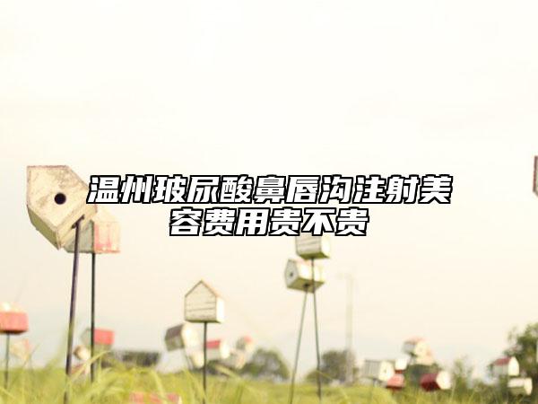 溫州玻尿酸鼻唇溝注射美容費(fèi)用貴不貴