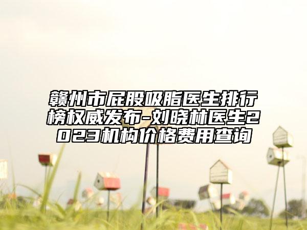 贛州市屁股吸脂醫(yī)生排行榜權(quán)威發(fā)布-劉曉林醫(yī)生2023機(jī)構(gòu)價格費(fèi)用查詢