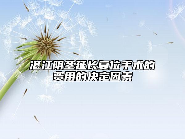 湛江陰莖延長(zhǎng)復(fù)位手術(shù)的費(fèi)用的決定因素