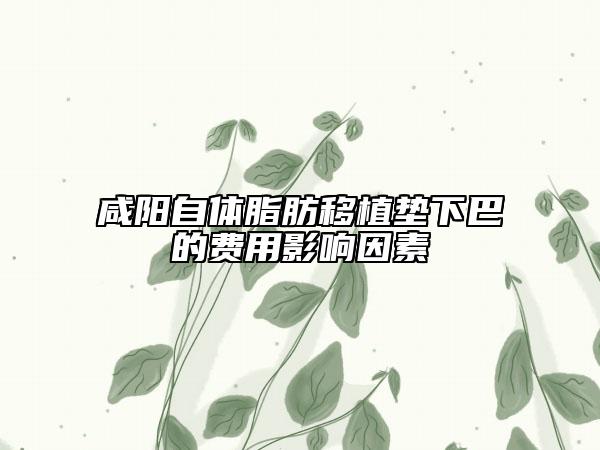 咸陽自體脂肪移植墊下巴的費(fèi)用影響因素