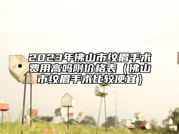 2023年佛山市紋眉手術費用高嗎附價格表（佛山市紋眉手術比較便宜）