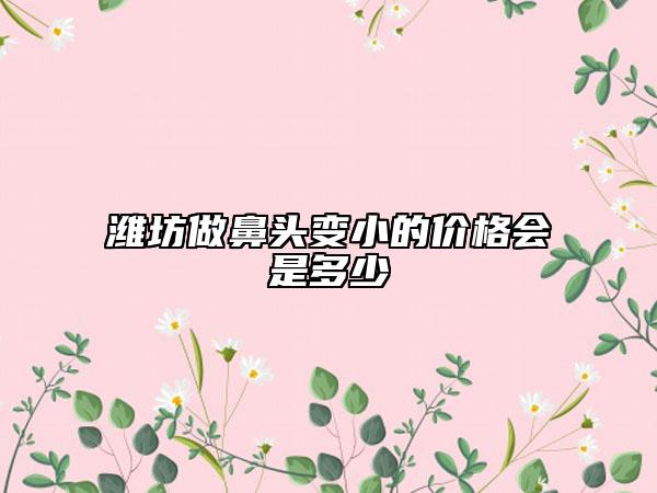 濰坊做鼻頭變小的價(jià)格會(huì)是多少