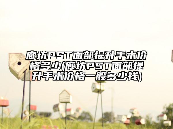 廊坊PST面部提升手術價格多少(廊坊PST面部提升手術價格一般多少錢)
