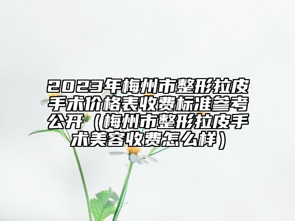 2023年梅州市整形拉皮手術(shù)價(jià)格表收費(fèi)標(biāo)準(zhǔn)參考公開(kāi)（梅州市整形拉皮手術(shù)美容收費(fèi)怎么樣）