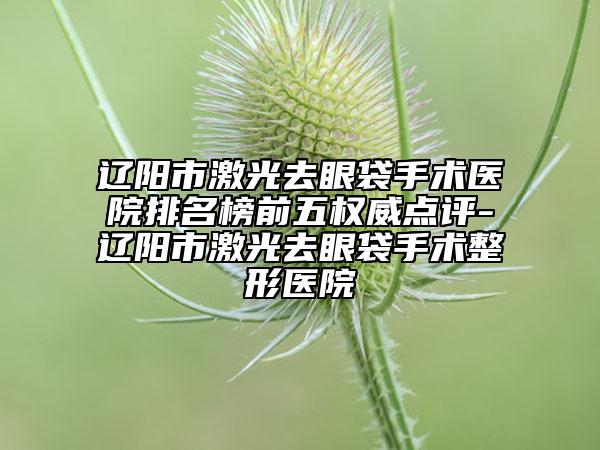 遼陽市激光去眼袋手術(shù)醫(yī)院排名榜前五權(quán)威點(diǎn)評-遼陽市激光去眼袋手術(shù)整形醫(yī)院