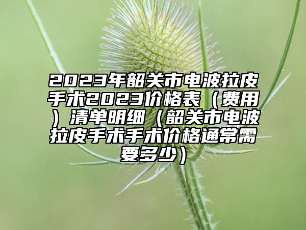 2023年韶關市電波拉皮手術2023價格表（費用）清單明細（韶關市電波拉皮手術手術價格通常需要多少）