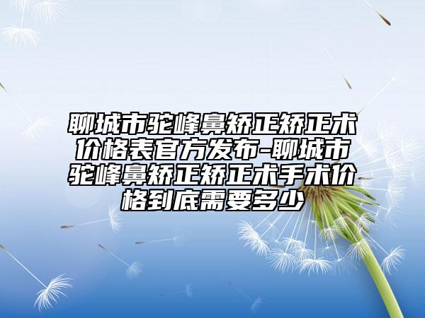 聊城市駝峰鼻矯正矯正術(shù)價格表官方發(fā)布-聊城市駝峰鼻矯正矯正術(shù)手術(shù)價格到底需要多少