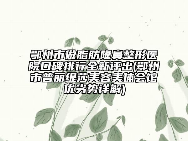 鄂州市做脂肪隆鼻整形醫(yī)院口碑排行全新評(píng)出(鄂州市普麗緹莎美容美體會(huì)館優(yōu)劣勢詳解)