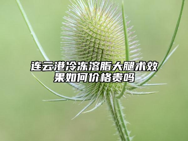 連云港冷凍溶脂大腿術(shù)效果如何價(jià)格貴嗎