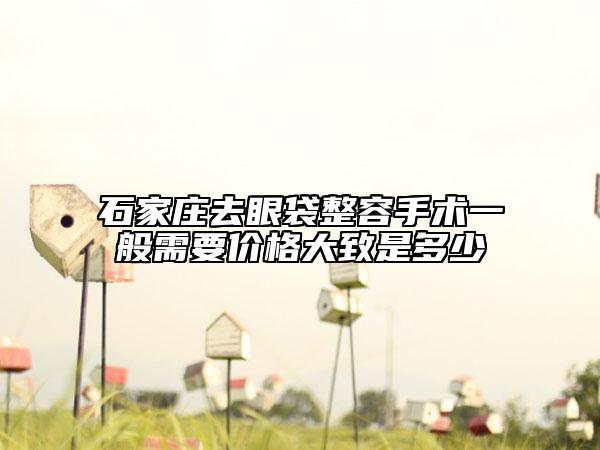 石家莊去眼袋整容手術(shù)一般需要價(jià)格大致是多少