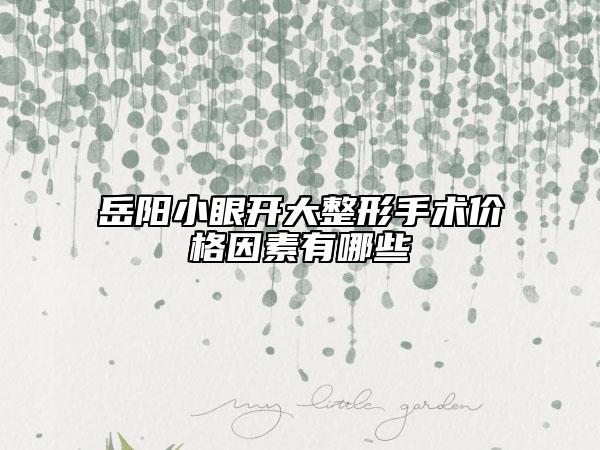 岳陽小眼開大整形手術價格因素有哪些