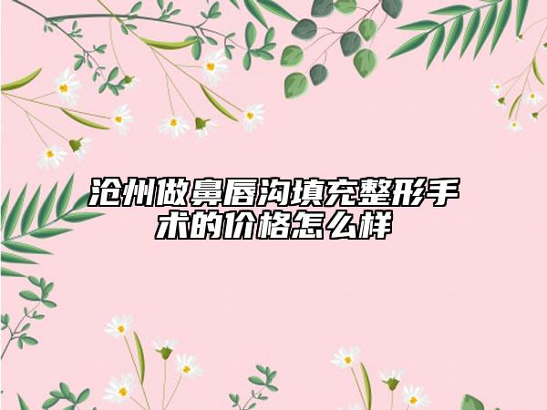 滄州做鼻唇溝填充整形手術(shù)的價(jià)格怎么樣