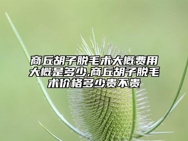 商丘胡子脫毛術(shù)大概費(fèi)用大概是多少,商丘胡子脫毛術(shù)價格多少貴不貴