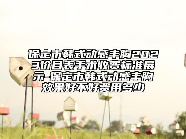 保定市韓式動(dòng)感豐胸2023價(jià)目表手術(shù)收費(fèi)標(biāo)準(zhǔn)展示-保定市韓式動(dòng)感豐胸效果好不好費(fèi)用多少