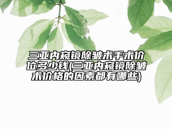 三亞內(nèi)窺鏡除皺術(shù)手術(shù)價(jià)位多少錢(三亞內(nèi)窺鏡除皺術(shù)價(jià)格的因素都有哪些)