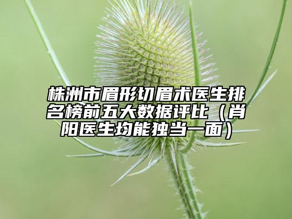 株洲市眉形切眉術(shù)醫(yī)生排名榜前五大數(shù)據(jù)評比（肖陽醫(yī)生均能獨(dú)當(dāng)一面）