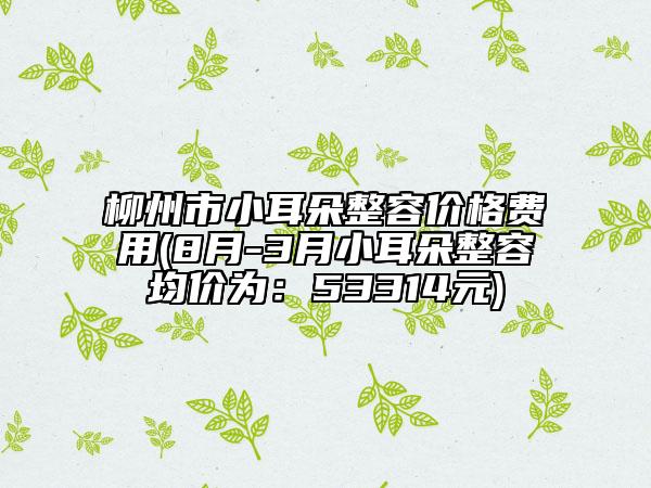 柳州市小耳朵整容價格費用(8月-3月小耳朵整容均價為：53314元)