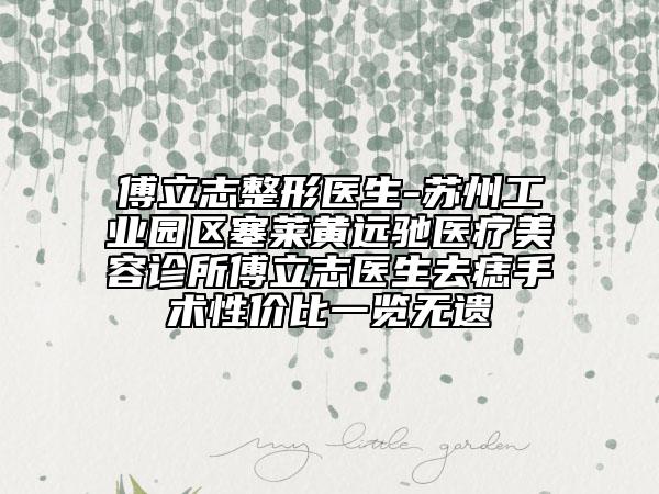 傅立志整形醫(yī)生-蘇州工業(yè)園區(qū)塞萊黃遠(yuǎn)馳醫(yī)療美容診所傅立志醫(yī)生去痣手術(shù)性價(jià)比一覽無遺