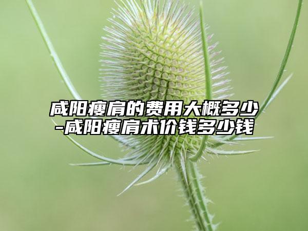 咸陽瘦肩的費(fèi)用大概多少-咸陽瘦肩術(shù)價錢多少錢