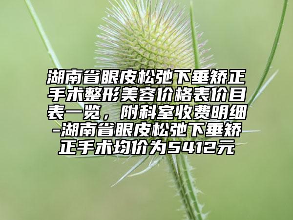 湖南省眼皮松弛下垂矯正手術(shù)整形美容價格表價目表一覽，附科室收費明細(xì)-湖南省眼皮松弛下垂矯正手術(shù)均價為5412元