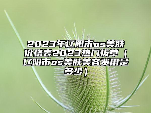 2023年遼陽市os美膚價(jià)格表2023熱門拔草（遼陽市os美膚美容費(fèi)用是多少）