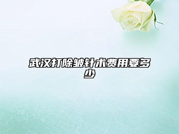 武漢打除皺針術(shù)費用要多少