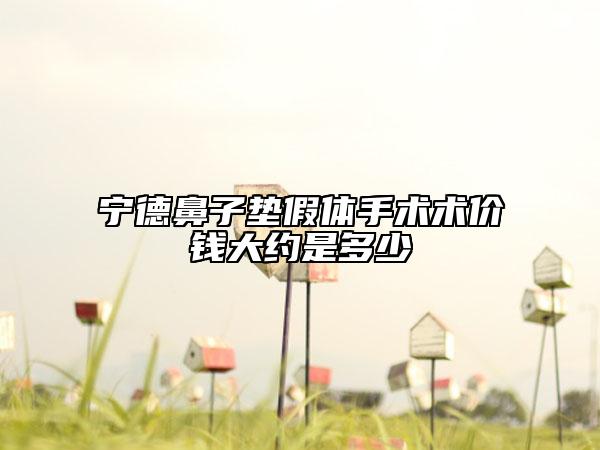 寧德鼻子墊假體手術術價錢大約是多少