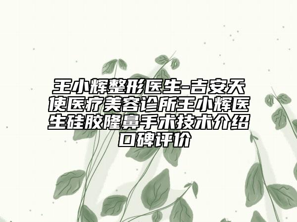 王小輝整形醫(yī)生-吉安天使醫(yī)療美容診所王小輝醫(yī)生硅膠隆鼻手術技術介紹 口碑評價