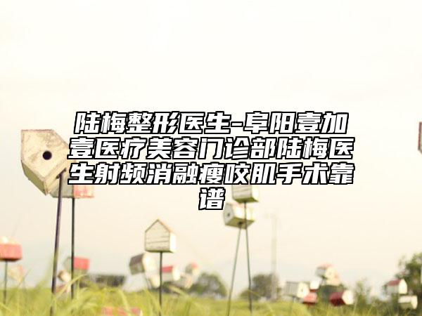 陸梅整形醫(yī)生-阜陽壹加壹醫(yī)療美容門診部陸梅醫(yī)生射頻消融瘦咬肌手術(shù)靠譜