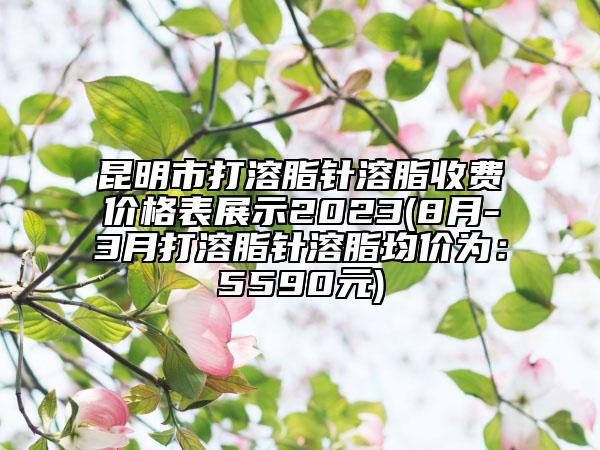 昆明市打溶脂針溶脂收費(fèi)價(jià)格表展示2023(8月-3月打溶脂針溶脂均價(jià)為：5590元)