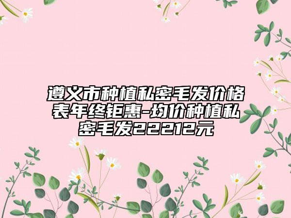 遵義市種植私密毛發(fā)價(jià)格表年終鉅惠-均價(jià)種植私密毛發(fā)22212元
