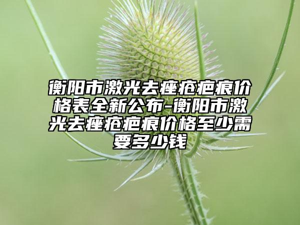 衡陽(yáng)市激光去痤瘡疤痕價(jià)格表全新公布-衡陽(yáng)市激光去痤瘡疤痕價(jià)格至少需要多少錢
