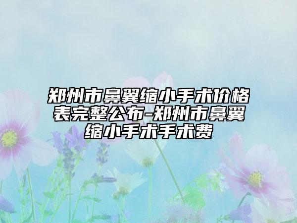 鄭州市鼻翼縮小手術(shù)價格表完整公布-鄭州市鼻翼縮小手術(shù)手術(shù)費