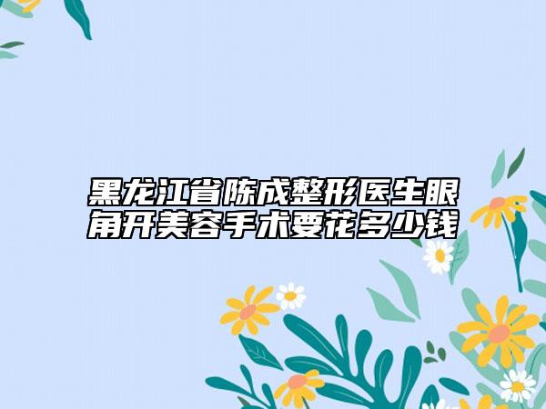 黑龍江省陳成整形醫(yī)生眼角開(kāi)美容手術(shù)要花多少錢(qián)