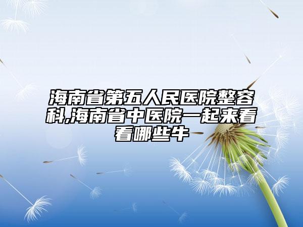 海南省第五人民醫(yī)院整容科,海南省中醫(yī)院一起來看看哪些牛