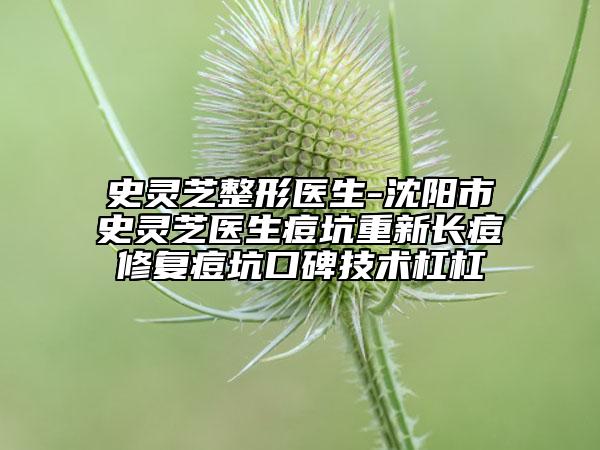 史靈芝整形醫(yī)生-沈陽市史靈芝醫(yī)生痘坑重新長痘修復(fù)痘坑口碑技術(shù)杠杠