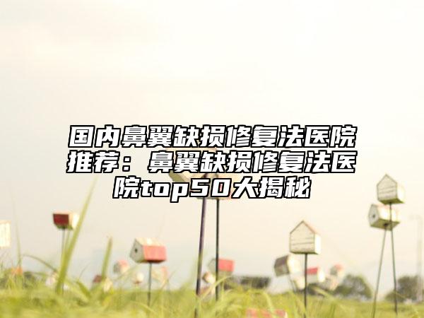 國內鼻翼缺損修復法醫(yī)院推薦：鼻翼缺損修復法醫(yī)院top50大揭秘