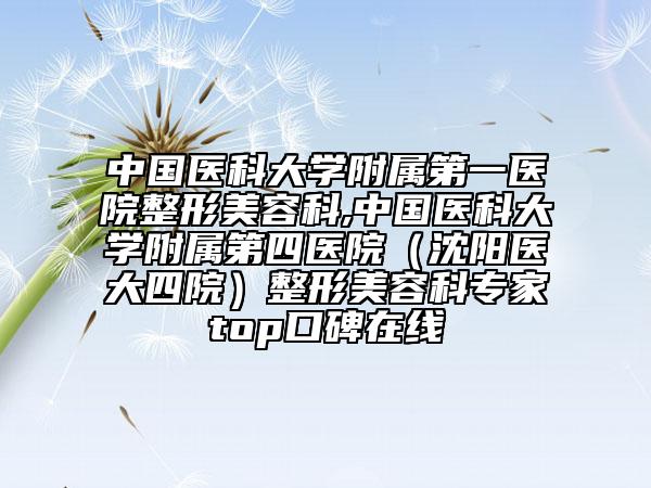 中國醫(yī)科大學附屬第一醫(yī)院整形美容科,中國醫(yī)科大學附屬第四醫(yī)院（沈陽醫(yī)大四院）整形美容科專家top口碑在線